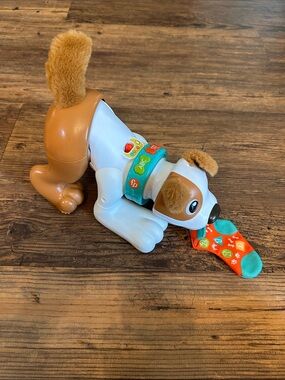 Fisher Price Interactive Brown & White Puppy Toy - Educational Speaks Polish